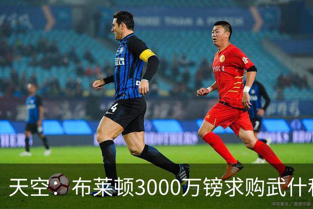 天空：布莱顿3000万镑求购武什科维奇，预计热刺对其估值超6000万